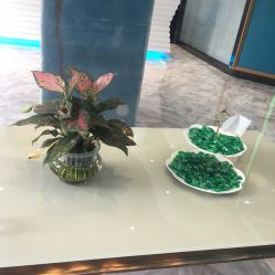-清颜专业祛痘连锁店