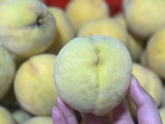 -樂桃源奉贤黄桃种植采摘基地