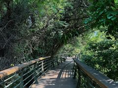 -深圳仙湖植物园