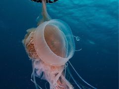 -张大师鸭爪爪特色干锅(钱塘江路店)