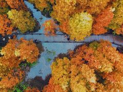 -桤木河湿地公园