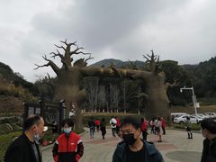 -梅岭月亮湾山体公园