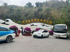 -西双版纳原始森林公园