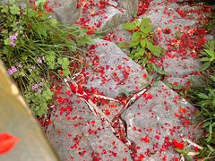 -南京民俗博物馆(甘熙故居)