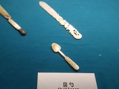-青岛贝壳博物馆