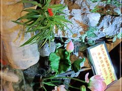 -多哥水傣味餐厅(司马巷店)