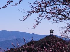 -北京凤凰岭