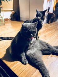 -EasyLady美甲沙龙