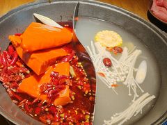 -阳阳老火锅(小南门店)