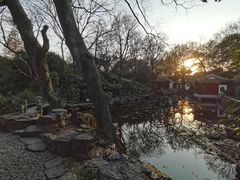 -秋霞圃