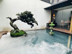 -觀芷隐轩