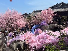 -茅山东方盐湖城景区