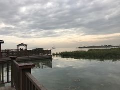 -新木器时代餐厅(太湖新天地店)