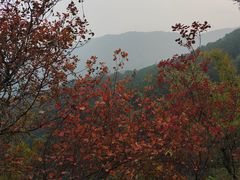 -香山公园