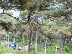 -北京西山国家森林公园