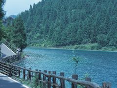 -武陵山森林公园