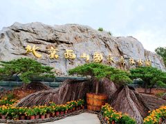 -北京西山国家森林公园