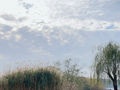 -沙家浜风景区