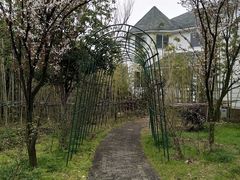 -鹅湖玫瑰文化园