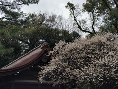 -热田神宫