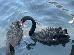 -白家餐厅(徐家汇店)