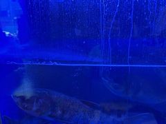 -毛家饭店·30年融合新湘菜(无影山店)