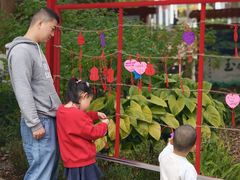 -广州白江湖森林公园