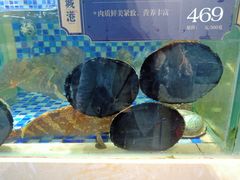 -欧记·龙城港(欣都店)