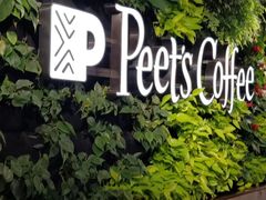 -Peet's Coffee皮爷咖啡(大学路店)