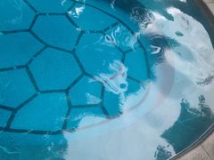 -融汇温泉