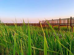 -东方华地城湿地温泉度假区