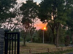 -洋湖国家湿地公园