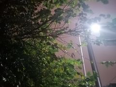 -魏家凉皮(文景路店)