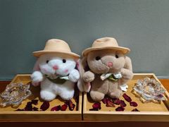 -新盈光·旗舰店(海曙苍松路店)