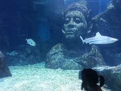 -暹罗海洋世界