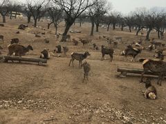 -西安秦岭野生动物园