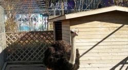 -萌宠亲子动物乐园(槐房万达店)