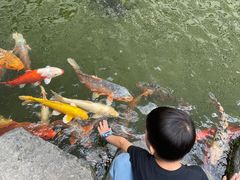 -广州花园酒店