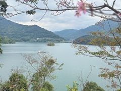 -广州市流溪河国家森林公园