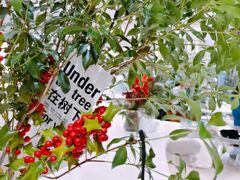 -1/4 ONE QUARTER COFFEE LAB(朝阳大悦城店)