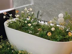 -小仙女采耳·按摩·SPA(深圳旗舰店)