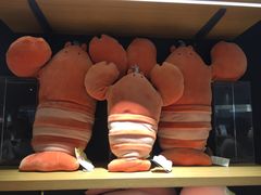 -九木杂物社(恒隆广场店)