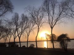 -丁香湖公园