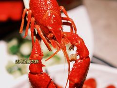 -沪小胖小龙虾(淮海中路旗舰店)