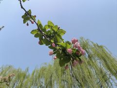 -元大都城垣遗址公园