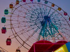 -巨鹏飞梦幻海岸