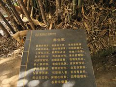 -观澜山水田园