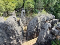 -寻龙山风景旅游区