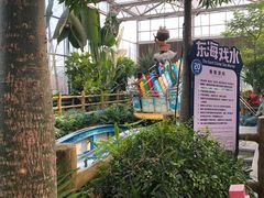 -南宫五洲植物乐园