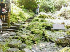 -海口火山口国家地质公园